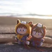 はいるの画像