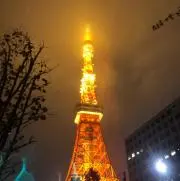 ぺこらの画像