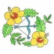 ｋ☆の画像