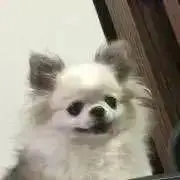 ひめママの画像
