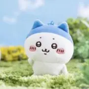 はちわれの画像