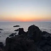 かまぼこの画像