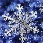 SNOWの画像