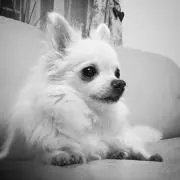 MOMO※プロフ必須