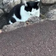 二月の画像
