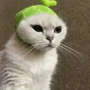 もも