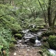 CZの画像