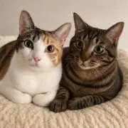 モカ＆ココ