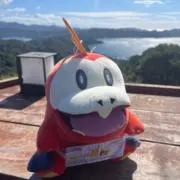 ニキニキの画像