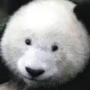 かっこ
