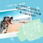ぶんぶんの画像