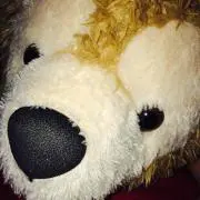 HIROMI