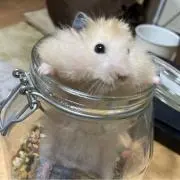 うにの画像