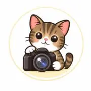 かどさんカメラ｜即発送・丁寧対応の画像