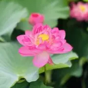 そら　※最終値下げ実施中の画像