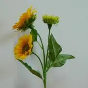 モンブランの画像