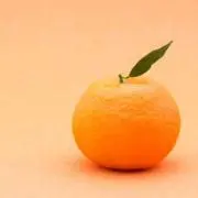 みかんの画像