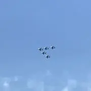 ハヤッチ