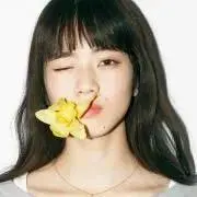 ANAの画像