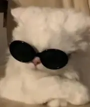 iの画像