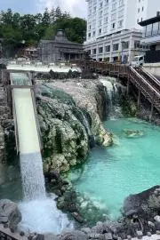 タロゴリの画像