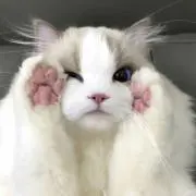 ぬ   ⚠️プロフ必須⚠️の画像