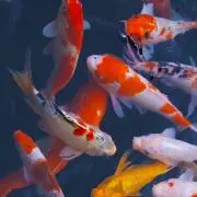 JRの画像