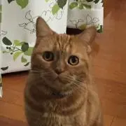 みずの画像