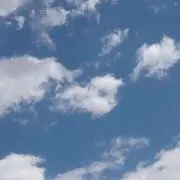 花の画像