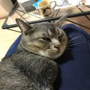 ジョナキチ⭐︎の画像