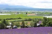 550ｂの画像