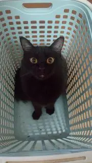 おけいはん