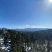 むぎの画像