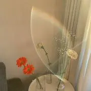 ローラの画像
