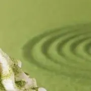 茶々の画像