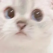 miiの画像