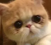 ひろの画像