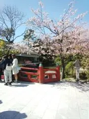 RIE I 23の画像