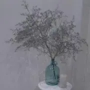 mi【プロフ読んでください】の画像