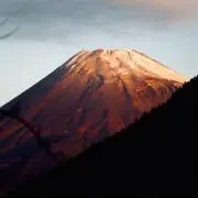 フジの画像