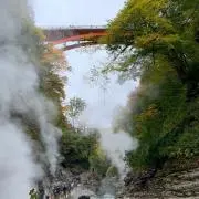 トモの画像