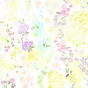 あやの画像