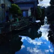 T.famの画像