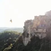 YTの画像
