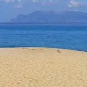 YKの画像