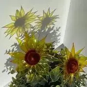 hanapyonの画像