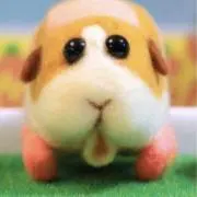 Riiiの画像