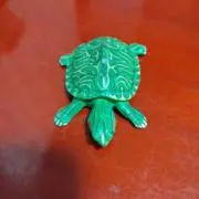 turuturuboy