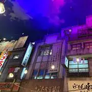 とりにくの画像