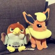 さとうがしの画像